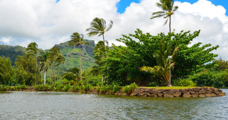 Travel Outtakes: Hawaiʻi  & St. John